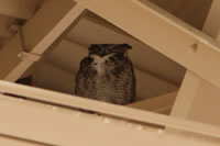 Southwest US Photo