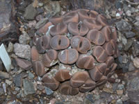 Southwest US Photo