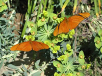 Southwest US Photo