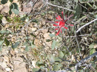 Southwest US Photo